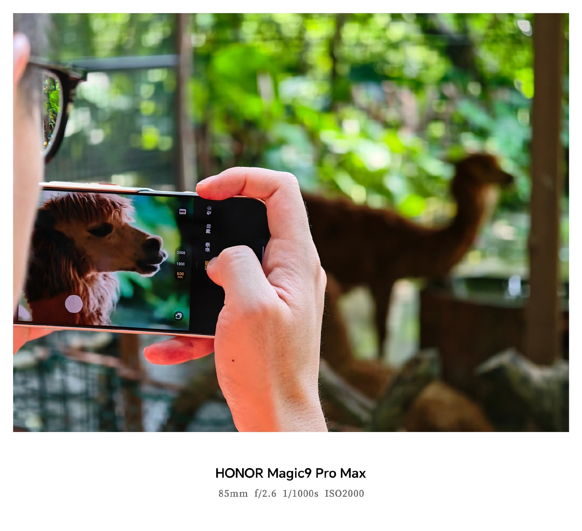 Honor-provided camera sample from the Magic 9 Pro Max periscope system